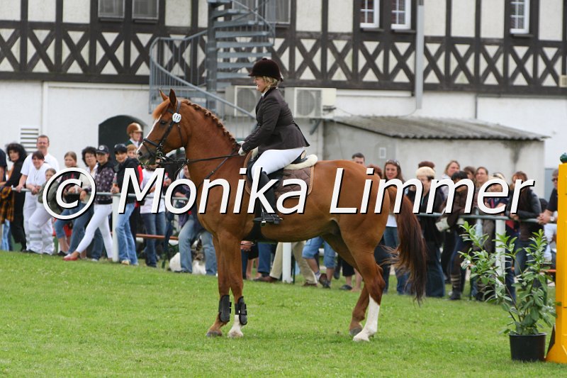 097M9866_Lancia Idefix.JPG